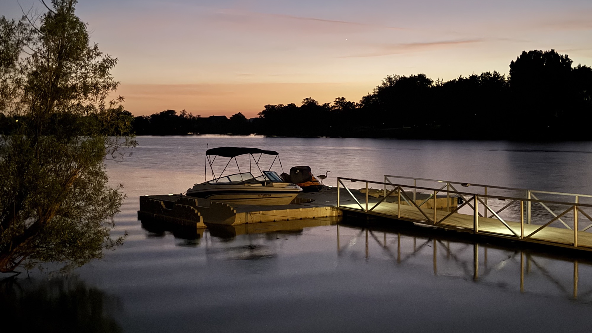A great blue heron standing on the floating dock beside the boat at twilight